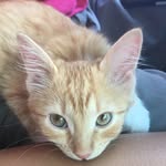 Opal May Christensen. - @opal_may_ - Instagram