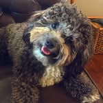 opal cochran - @opalljanee - Instagram