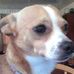 Opal Colvin - Facebook