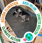 Opal Compton - Facebook