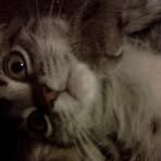 Opal Dahlin Compton - Facebook