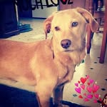 Opal Conner - @thelifeofopal - Instagram