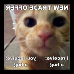 @opalconrad78876866 - Instagram