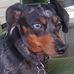 Opal Cox - Facebook