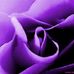 Opal Crawford - Facebook
