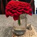 Opal Moffitt Crosby - Facebook