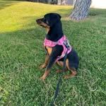 Opal Evalina Davis - @opalbogar - Instagram