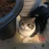 opaldixon86502 - @opaldixon86502 - TikTok