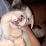Opal Pearl Elliott - @opalrubypearl - Instagram
