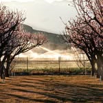 Opal_The_Farmer - @opal_the_farmer - Instagram