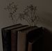Opal Le Fay - Scrittrice - Facebook