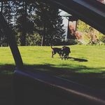 Opal Frazier - @marsha_dear19 - Instagram