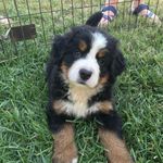 Luna Opal Garrison - @looneylunabmd - Instagram