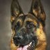 Opal Garrison - Facebook