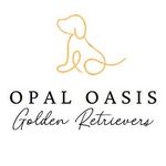 OpalOasis Kennels - @opalgoldens - Instagram