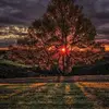 opalgraham6 - @opal.graham4 - TikTok