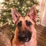 Opal May Hendrix - @outstandinglifeofopal - Instagram