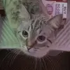 Opal N Hendrix - @mybabys_2 - TikTok