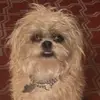 Opal Jackson - @swaggyopal - TikTok