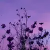 James Opal - @jamesopal0 - TikTok
