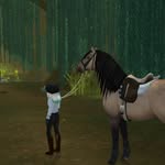 🏇ms_opalland🏇 - @ms_opalland - Instagram