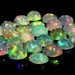 Opal_Land - @opal_land_ - Instagram