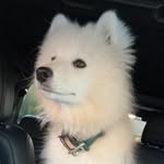 Opal - @opal_the_land_cloud - Instagram