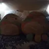opalunicornsparkl - @opalunicornsparkl - TikTok