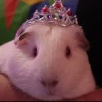 queen opal😘 - @queen.opal.official - Instagram