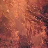 opal ray - @upog6789456322 - TikTok