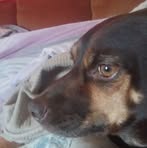 Opal Rector - Facebook