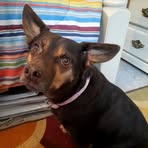 Opal Rector - Facebook