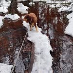 Opal Snyder - @byrdsboyas - Instagram