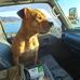 Opal Thompson - Facebook