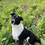 Opal (Shnopal) Watson - @opal_shnopal - Instagram