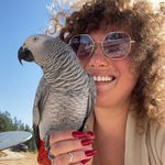 אורה ובקביק אילוף תוכים - @ora.rotenberg - Instagram