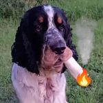 Olle Råberg - @o_raberg - Instagram