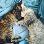 Dusty and Nora - @dusty_nora_burnett - Instagram