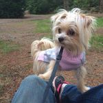 Nora Combs - @combsnora - Instagram