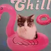 orafdaniels - @orafdaniels - TikTok