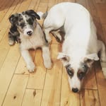 Sarah Dawson - @sarahnoradawson - Instagram