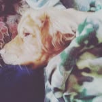 gunner_boy - @gunner.boy.orange - Instagram
