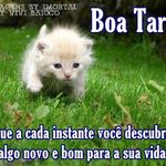 Hamilton Corá - @hamilton.cora.35 - Instagram
