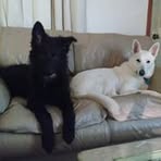Ora Higginbotham - Facebook