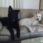 Ora Higginbotham - @higginbothamora - Instagram
