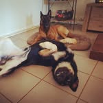 Ora & Hunter - @ora_and_hunter - Instagram