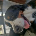 Ora Lane - Facebook
