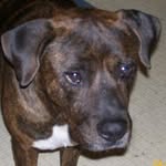 Margie Ora Mason - @fewmojo1957 - Instagram