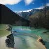 oramcguire2 - @oramcguire2 - TikTok