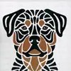 Mcneil rottweiler pride - @coramcneil2 - TikTok